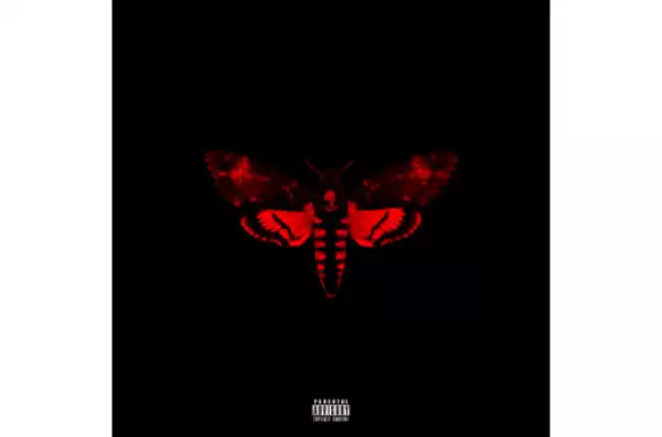 Lil Wayne - Days And Days (feat. 2 Chainz)